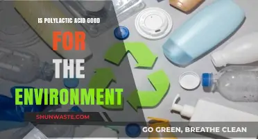 Polylactic Acid: Eco-Friendly Solution or Environmental Concern?