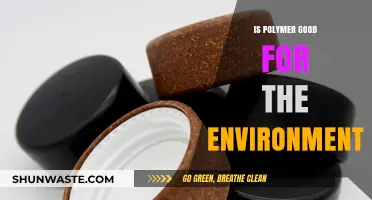 Is Polymer Eco-Friendly? Uncovering Its Environmental Impact and Sustainability
