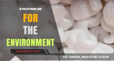 Polystyrene's Environmental Impact: Harmful Effects and Sustainable Alternatives