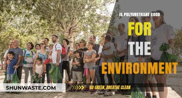 Polyurethane's Environmental Impact: Sustainable Choice or Ecological Concern?