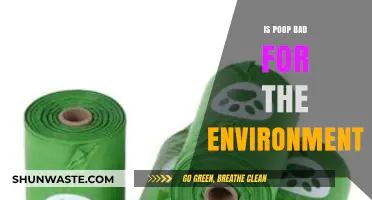 Is Poop Polluting Our Planet? Environmental Impact of Waste Explored
