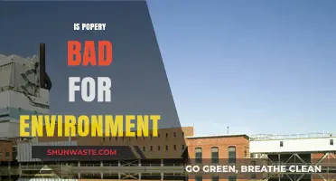 Popery's Environmental Impact: Unveiling the Ecological Consequences of Papal Practices