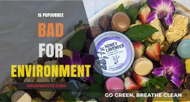 Is Potpourri Eco-Friendly? Uncovering Its Environmental Impact and Sustainability