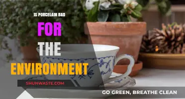 Porcelain's Environmental Impact: Sustainable Choice or Eco-Friendly Myth?