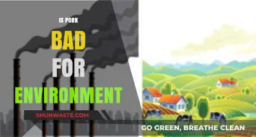 Pork's Environmental Impact: Sustainable Choice or Ecological Concern?