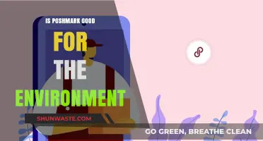 Poshmark's Eco-Impact: Sustainable Fashion or Environmental Dilemma?