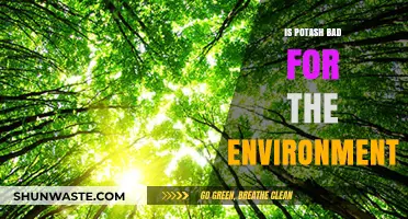 Potash's Environmental Impact: Uncovering the Ecological Pros and Cons