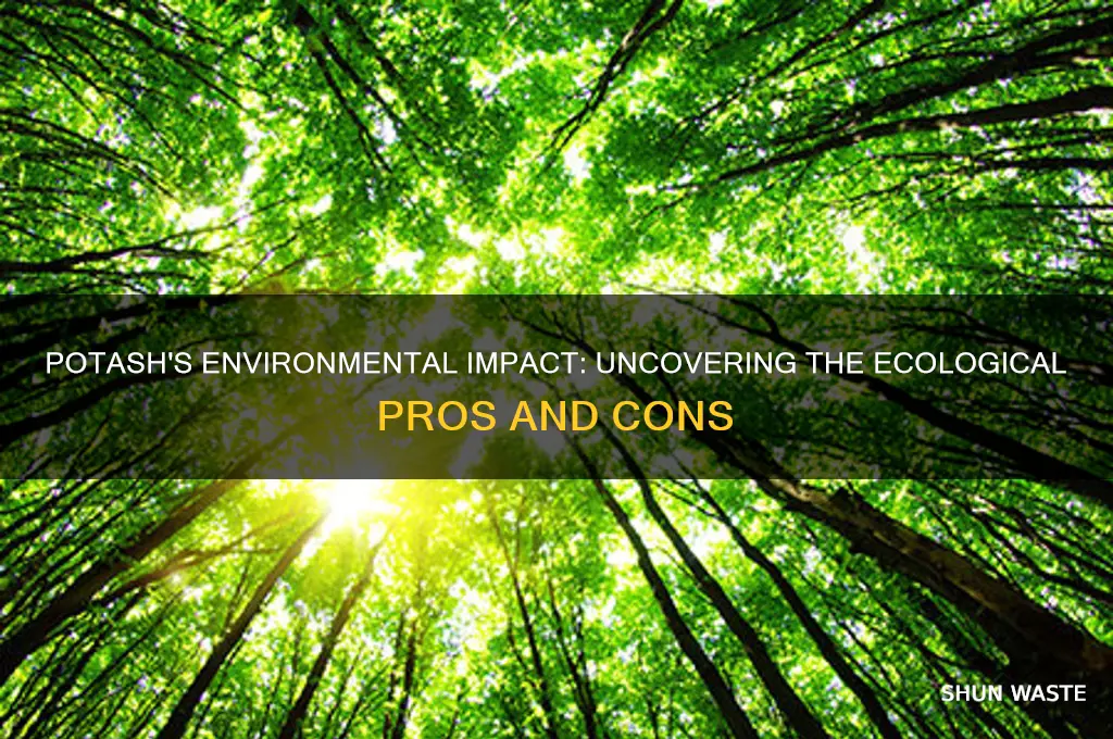 is potash bad for the environment