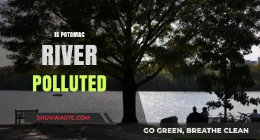 Potomac River: A Polluted Paradise?