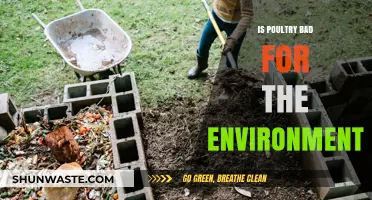 Poultry's Environmental Impact: Sustainable or Harmful for Our Planet?
