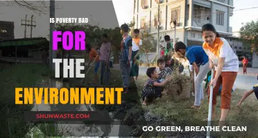 Poverty's Environmental Impact: A Complex Relationship Explored