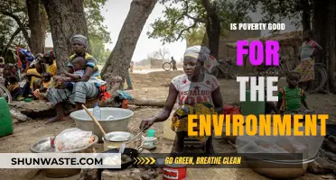 Poverty's Paradox: Environmental Impact and the Cost of Survival