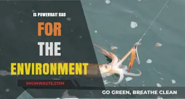 Is PowerBait Harmful? Environmental Impact of Fishing Baits Explored