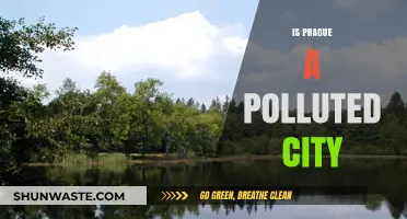 Prague's Pollution Problem: A City's Battle