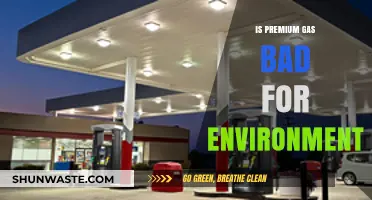 Premium Gas vs. Environment: Uncovering the Ecological Impact of High-Octane Fuel