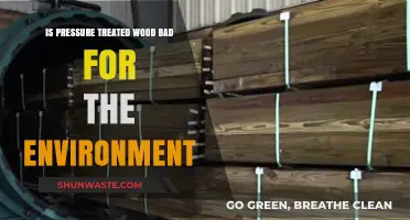 Pressure Treated Wood: Environmental Impact and Sustainable Alternatives Explored