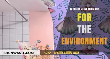 Is PrettyLittleThing Harming Our Planet? Uncovering Its Environmental Impact