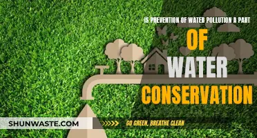 Preventing Water Pollution: A Key Component of Water Conservation