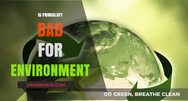 Primaloft's Environmental Impact: Sustainable Choice or Eco-Friendly Myth?