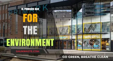 Is Primark Harming Our Planet? Uncovering Its Environmental Impact
