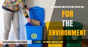 Printing, Recycling Paper: Environmental Impact and Sustainable Alternatives Explored