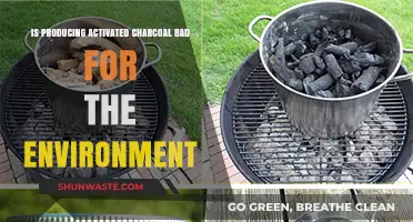 Activated Charcoal Production: Environmental Impact and Sustainability Concerns