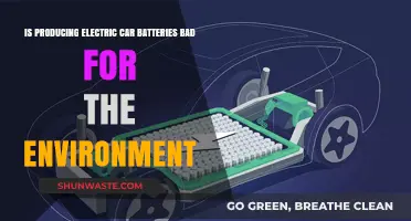 Electric Car Battery Production: Environmental Impact and Sustainability Concerns