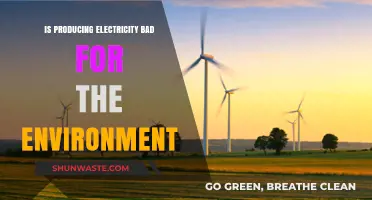 Electricity Generation: Environmental Impact and Sustainable Alternatives Explored