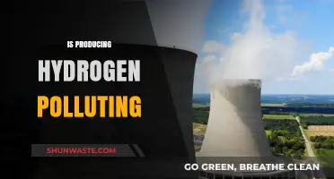 Hydrogen Production: Clean Energy or Polluting Process?