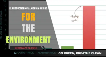 Almond Milk's Environmental Impact: Sustainable Choice or Eco-Disaster?