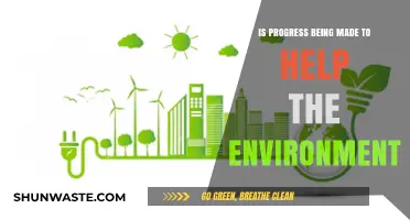 Environmental Progress: Are We Truly Advancing Sustainability Efforts?