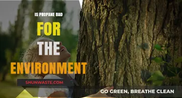 Is Propane Eco-Friendly? Environmental Impact and Sustainability Explained