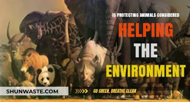 Protecting Animals: A Key Strategy for Environmental Conservation and Sustainability
