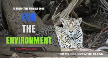 Protecting Animals: A Key Strategy for Environmental Sustainability?