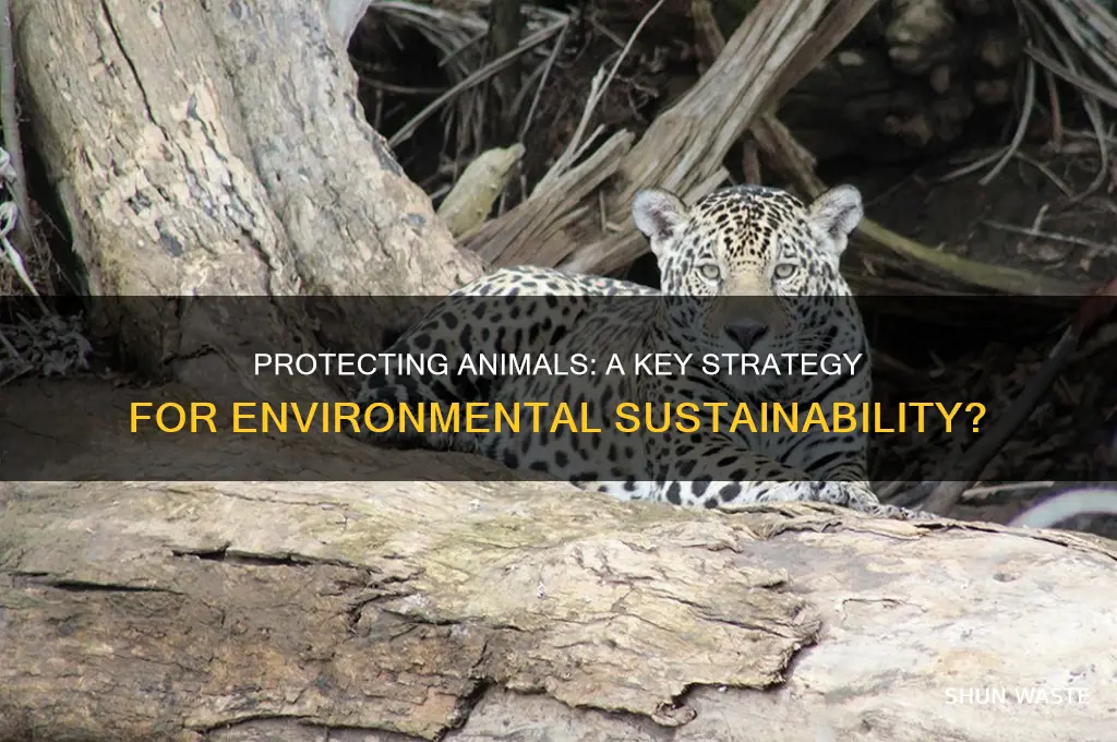 is protecting animals good for the environment