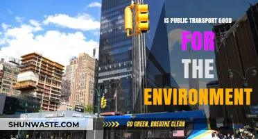 Public Transport's Environmental Impact: Sustainable Solution or Green Myth?