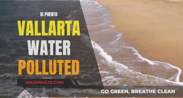 Puerto Vallarta's Water Quality: A Deep Dive into Pollution Concerns