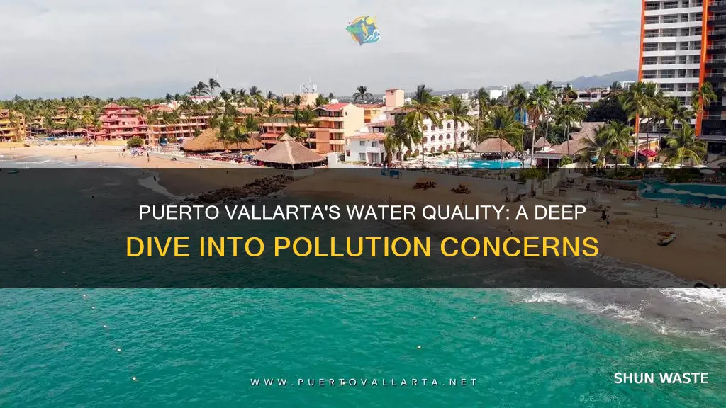 is puerto vallarta water polluted