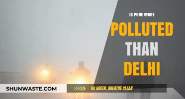 Pune vs Delhi: Who's More Polluted?