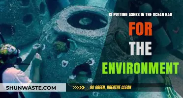 Scattering Ashes in the Ocean: Environmental Impact and Sustainable Alternatives