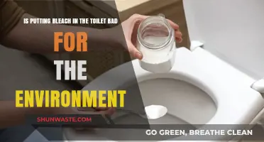 Is Bleach in Toilets Harming Our Environment? A Critical Look