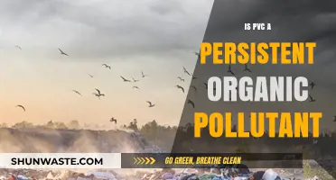 PVC's Persistent Organic Pollutant Status: What You Need to Know