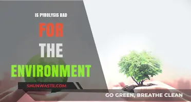 Pyrolysis Environmental Impact: Sustainable Solution or Hidden Ecological Threat?