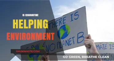 Quarantine's Green Impact: How Lockdown is Reviving Our Environment