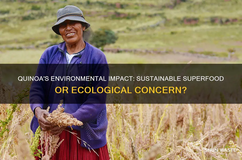 is quinoa bad for the environment