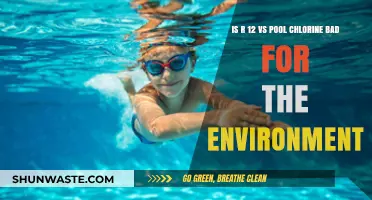 R-12 vs Pool Chlorine: Environmental Impact Compared and Contrasted