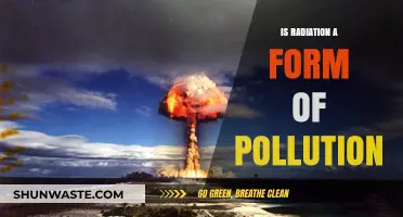 Radiation: Pollution or Not?
