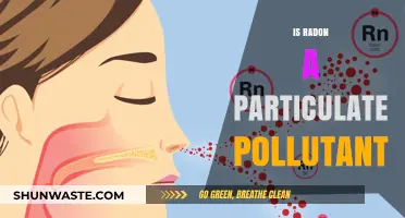 Radon: A Silent, Deadly Particulate Pollutant?