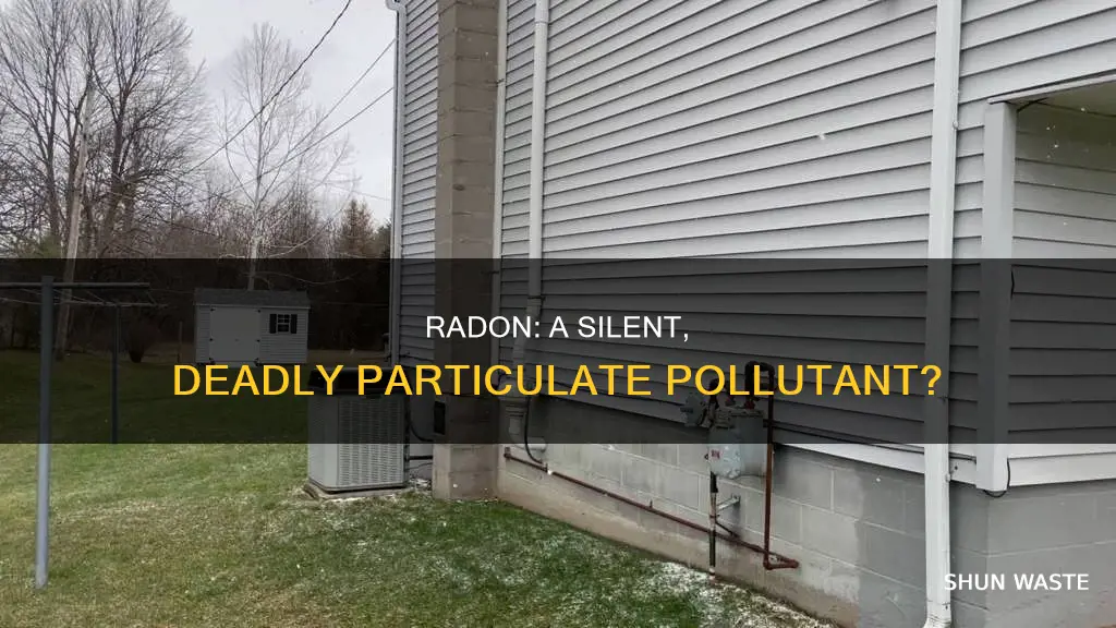 is radon a particulate pollutant