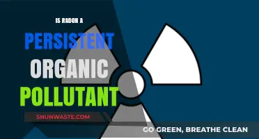 Radon: Persistent, Organic, and Harmful Pollutant?